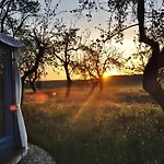 Luxussátor Jurty V Sadu Český Brod