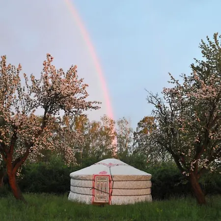 Luxury tent Jurty V Sadu