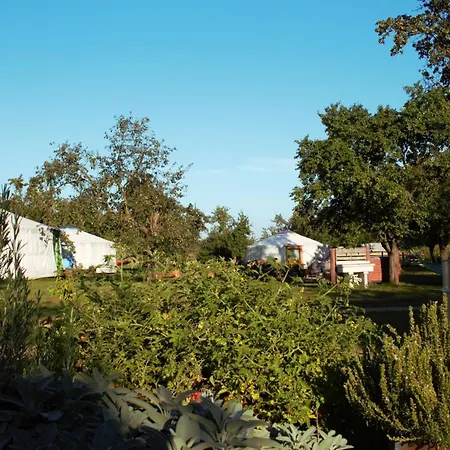 Luxury tent Jurty V Sadu